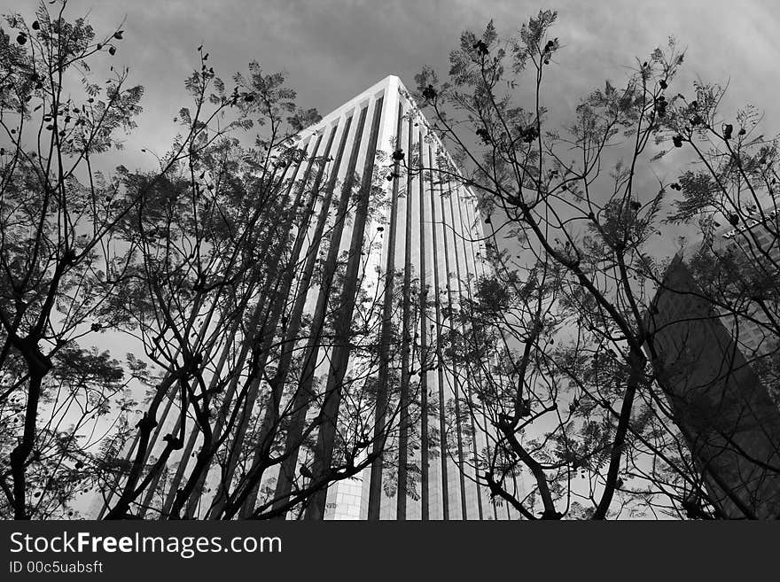 Building through the trees