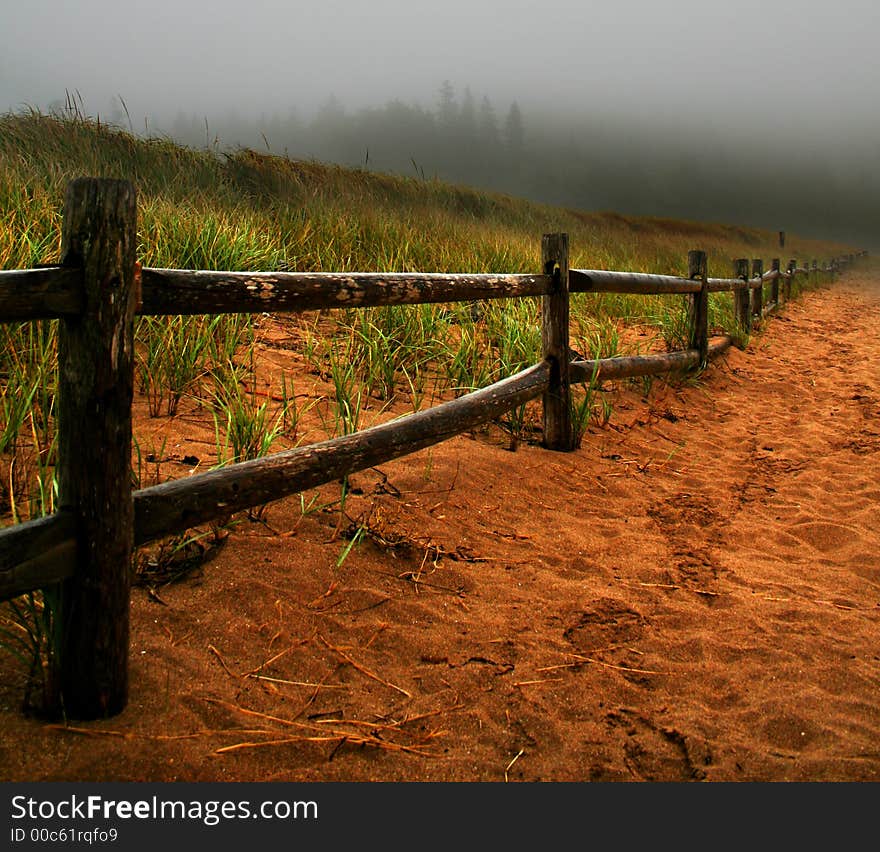 Misty Morning