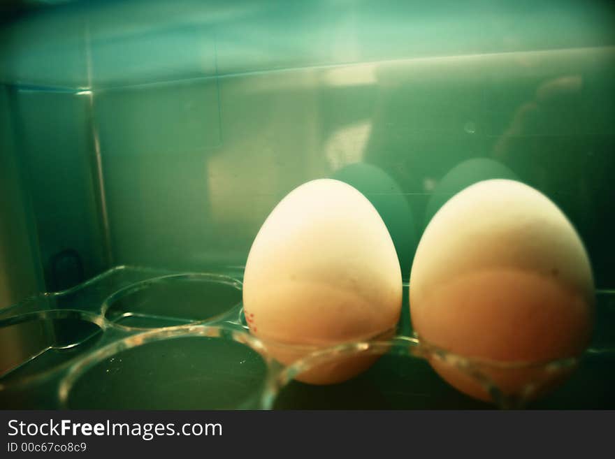 Detail shot of two eggs. Detail shot of two eggs.