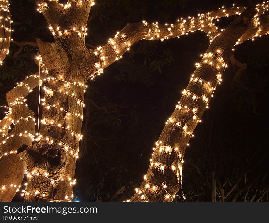 Tree decoration with Christmas lights