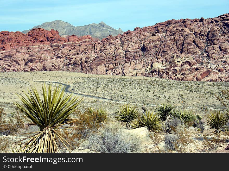 Desert Road and Scene