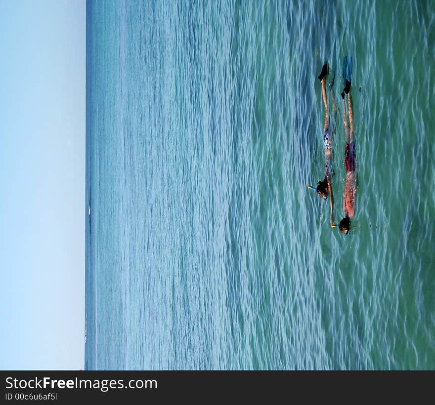 A couple snorkeling in the ocean. A couple snorkeling in the ocean