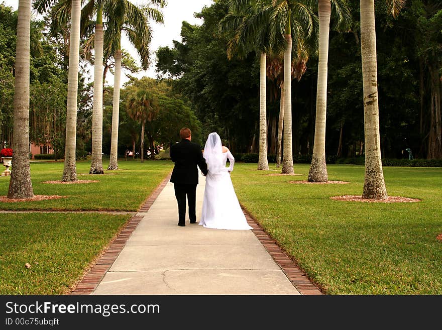 Bride and groom walking down path of life with tall palm trees on each side. Bride and groom walking down path of life with tall palm trees on each side