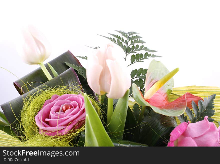 Carnations & roses against a plain background. Carnations & roses against a plain background