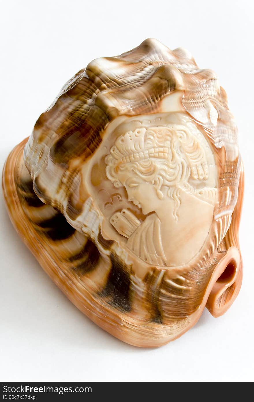 Cockle-shell with incised antique face