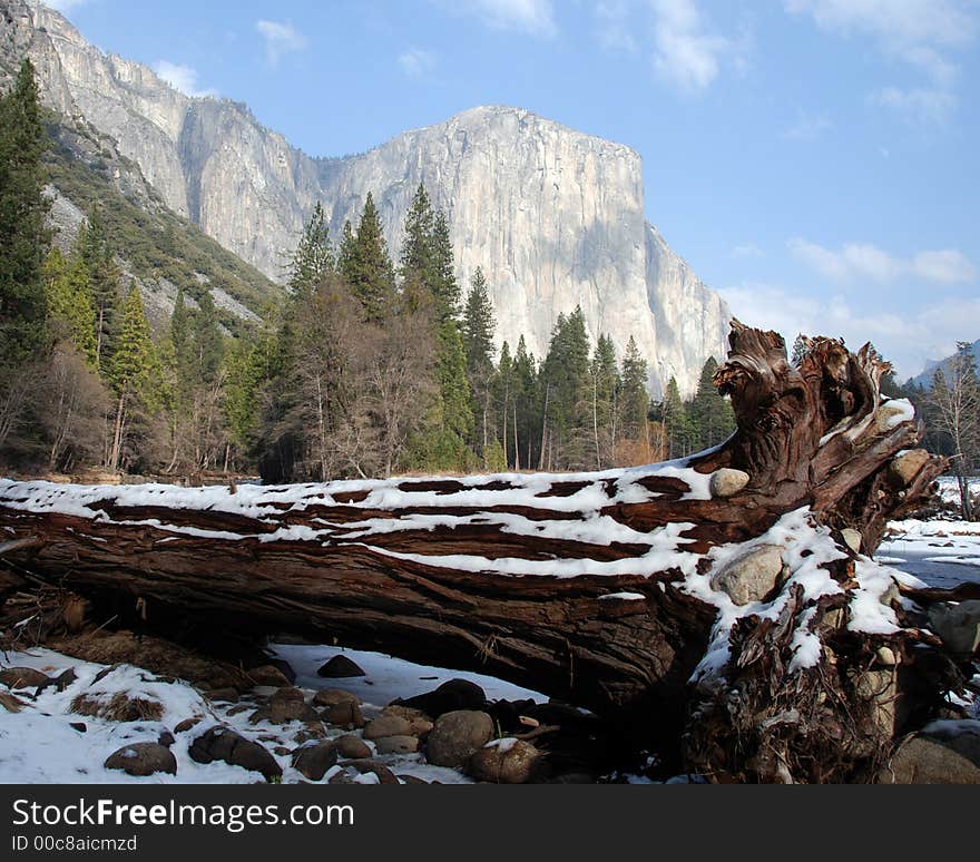 El Capitan View at Yosemite National Park, CA