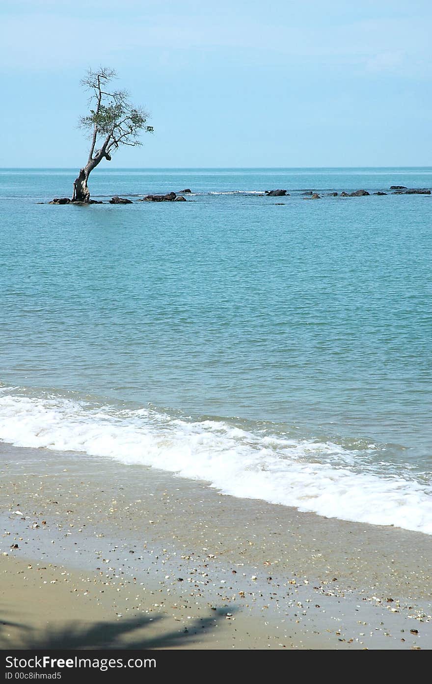 Tropical Seaside Beach