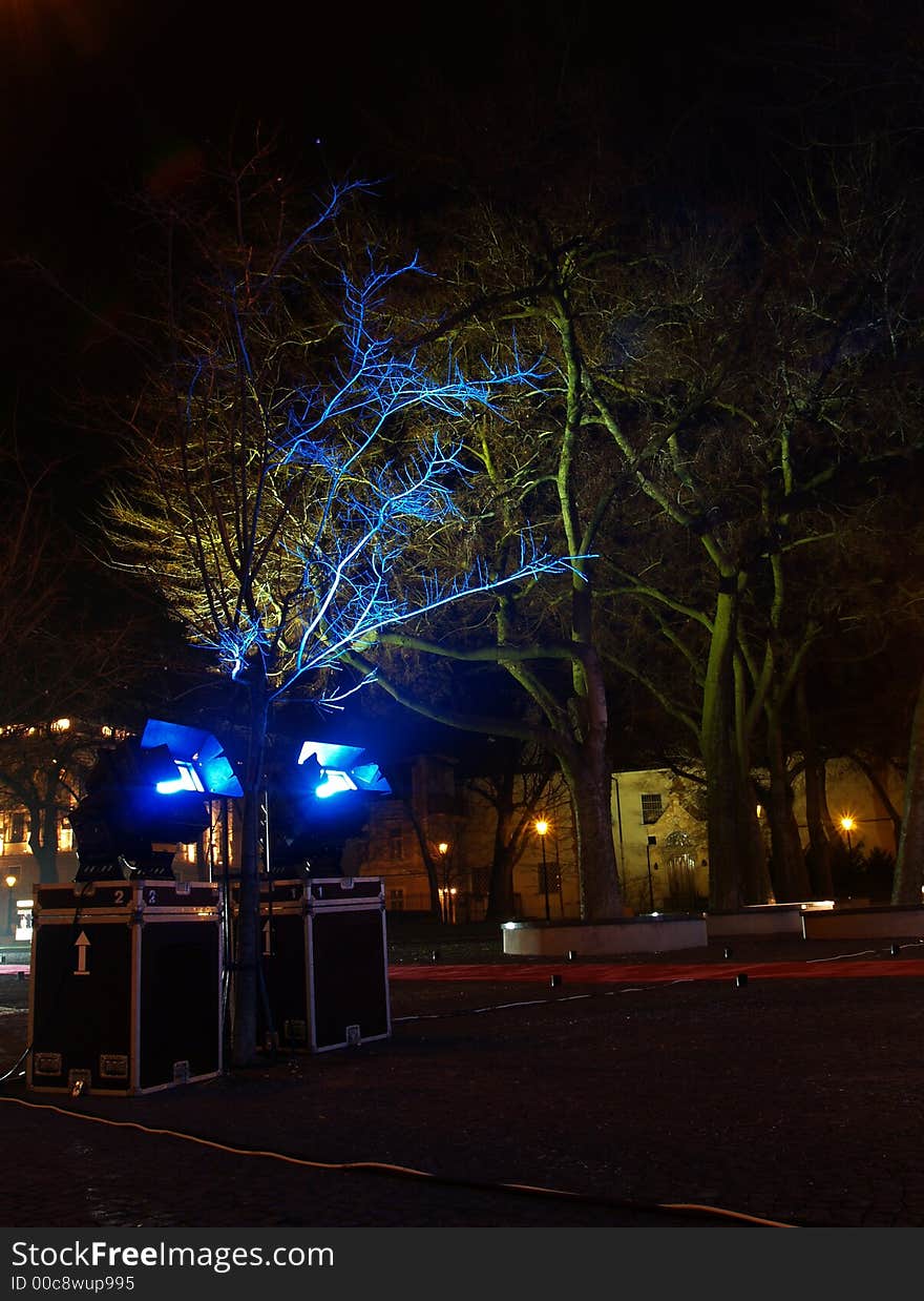 Blue light on trees. Slovakia