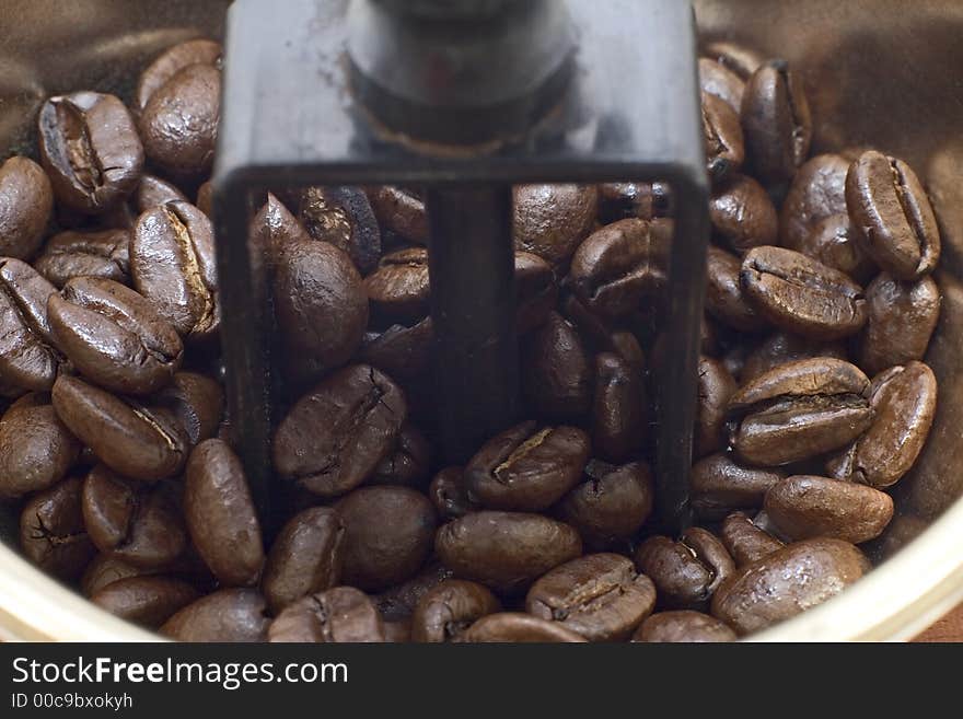 Coffee beans in grinder