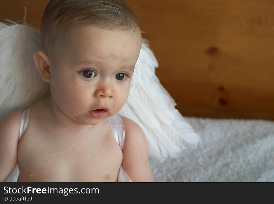 Image of baby wearing angel wings. Image of baby wearing angel wings