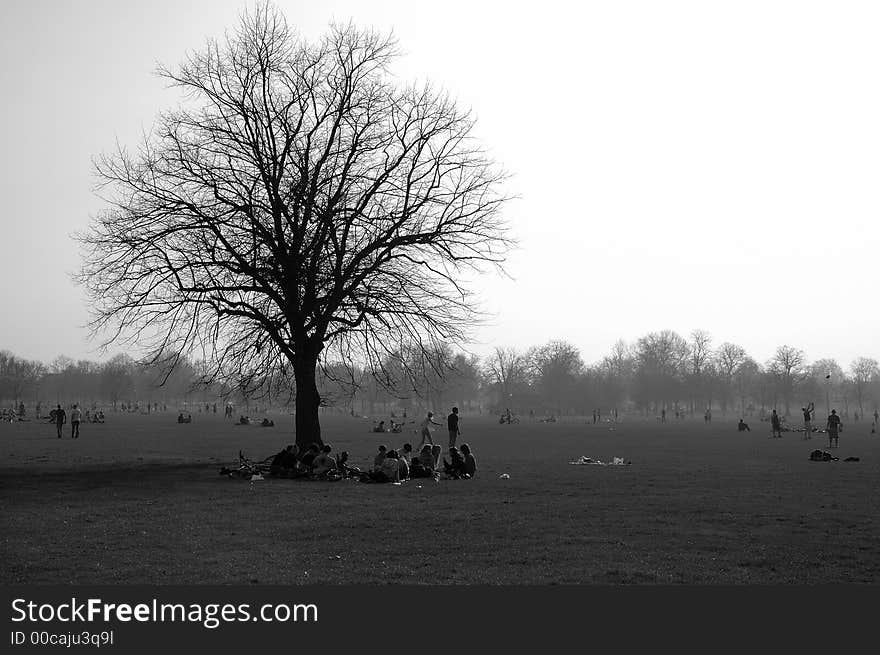 People relaxing and enjoying themself in clapham common, london, uk. People relaxing and enjoying themself in clapham common, london, uk.