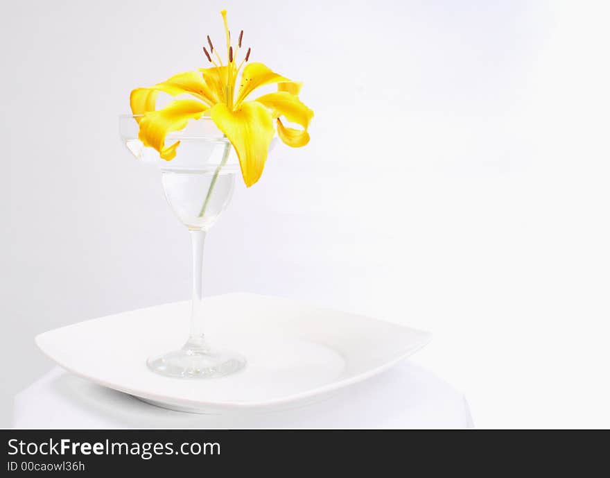 Bright yellow lily in a margarita glass on a white plate. Bright yellow lily in a margarita glass on a white plate