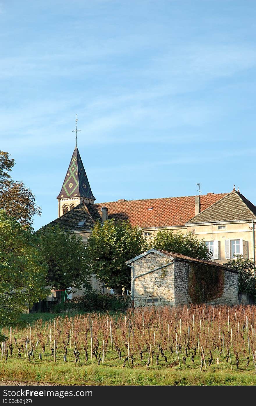 Vineyard in front of church in autumn