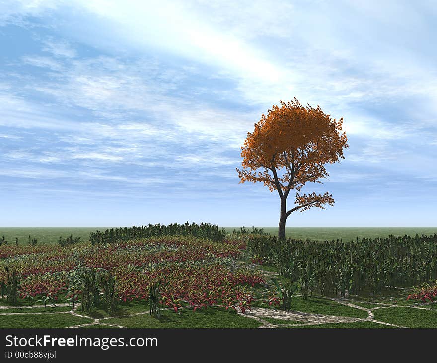 Tree with white leaves alone standing on a field on a background of the sky. Tree with white leaves alone standing on a field on a background of the sky