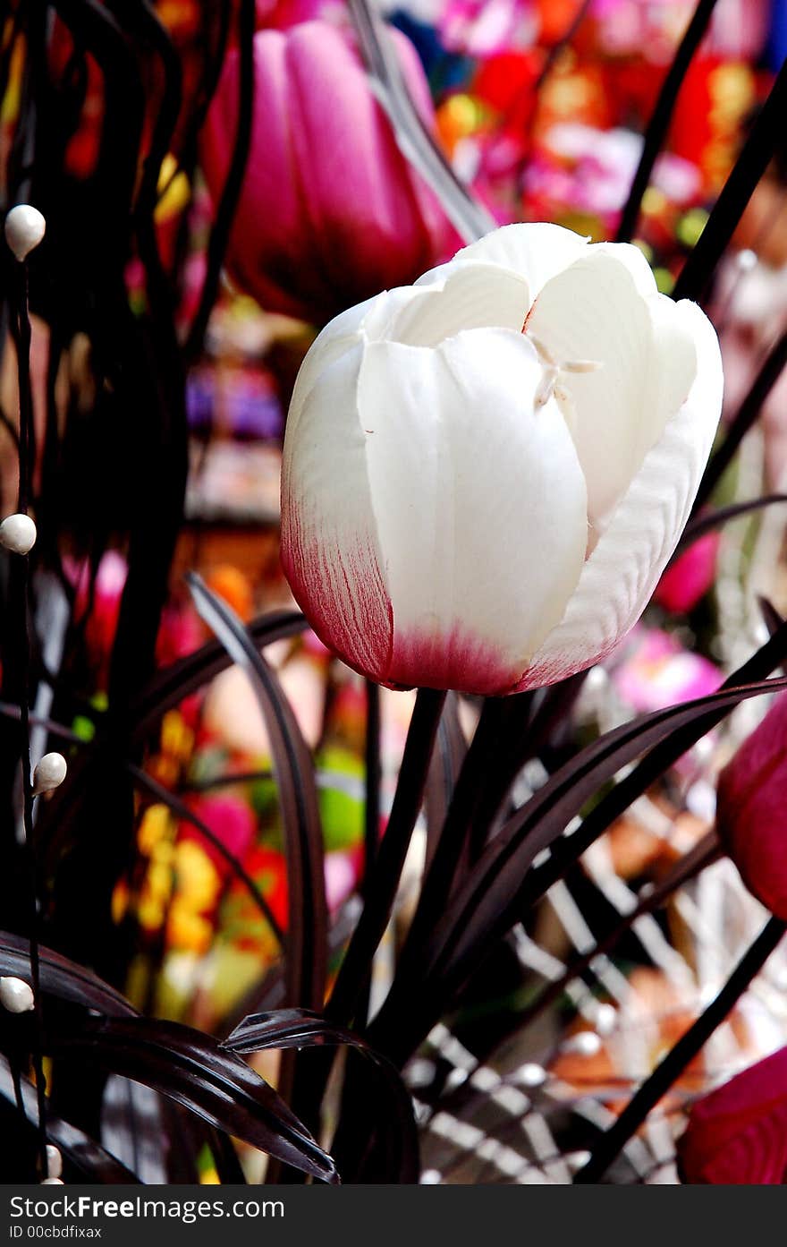 Chinese flower in Dengdu,west of China. Chinese flower in Dengdu,west of China