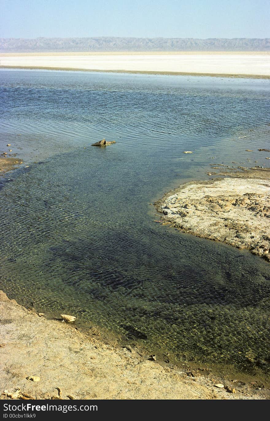 Chott Wadi Spring