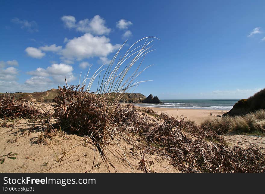 Beach Scenics