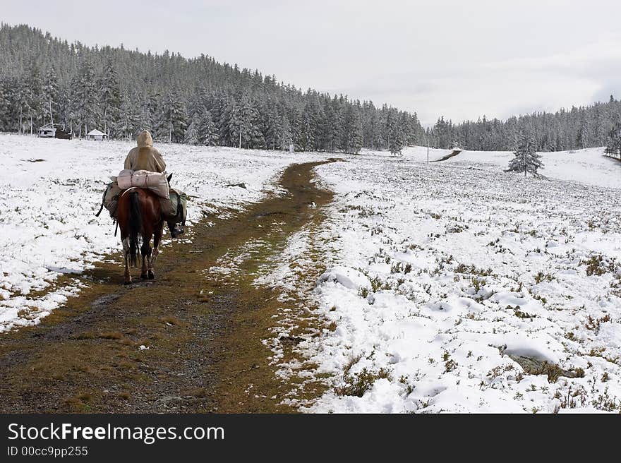 Winter road and horseman. Altay. Russia.