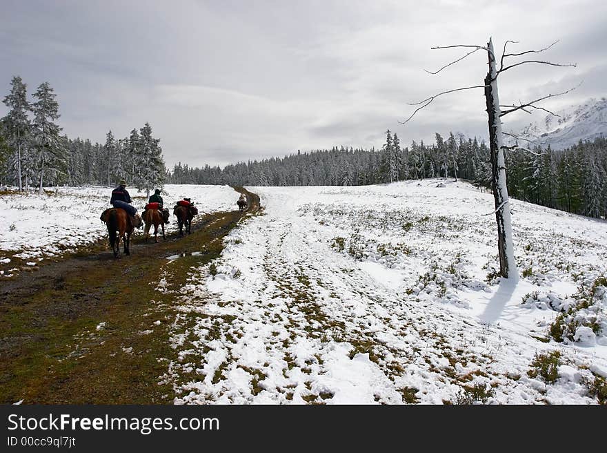 Winter road and horseman. Altay. Russia.