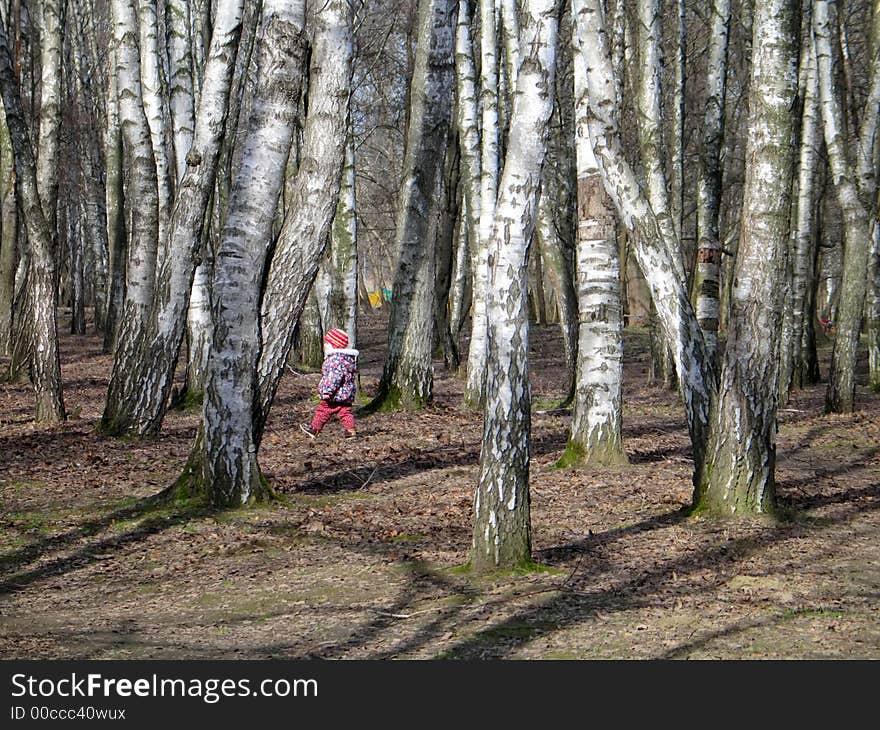 A child walking alone in the forest. A child walking alone in the forest