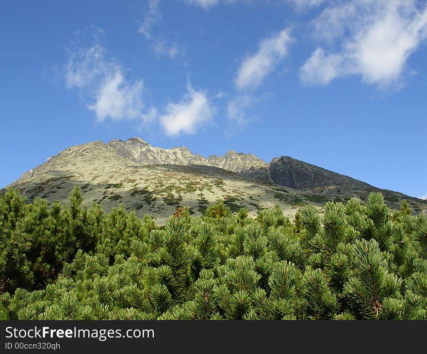 Gerlach peak with evergreen and blue sky. High Tatra