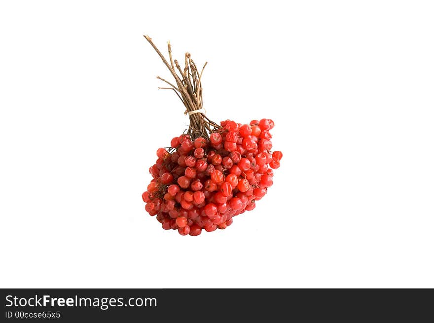 The bunch of ashberry isolated over white