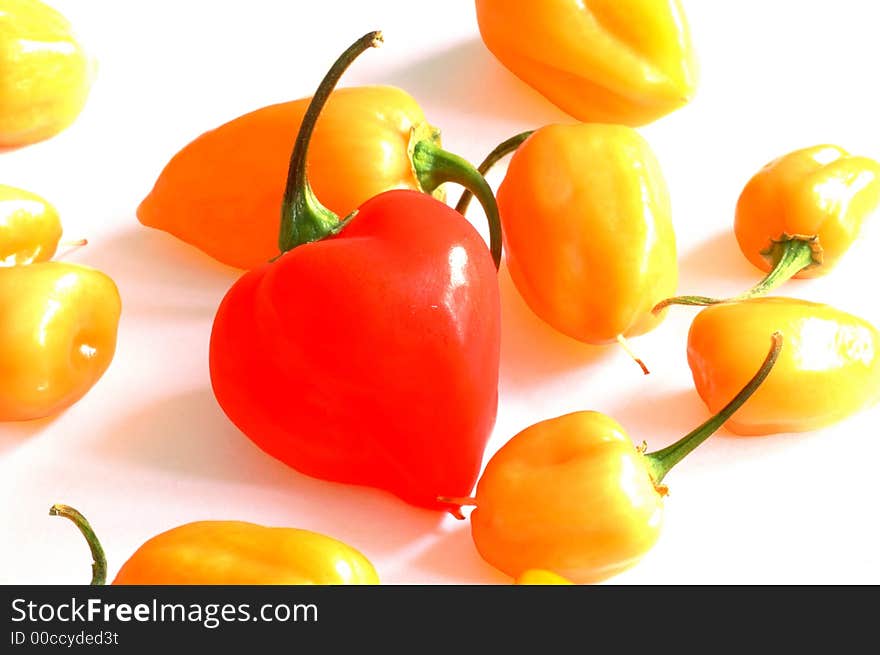 Red And Orange Chilis