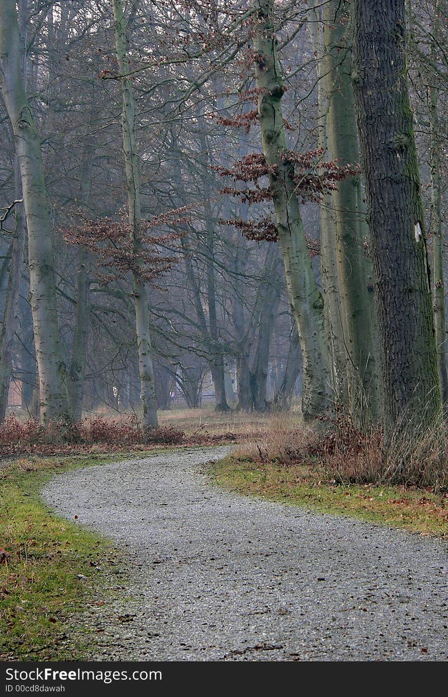 A Forestpath in Augsburg, germany. A Forestpath in Augsburg, germany