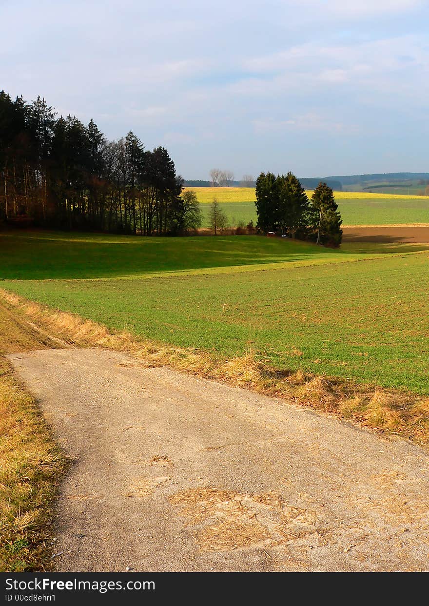 A path through colored fields in germany near Munich. A path through colored fields in germany near Munich