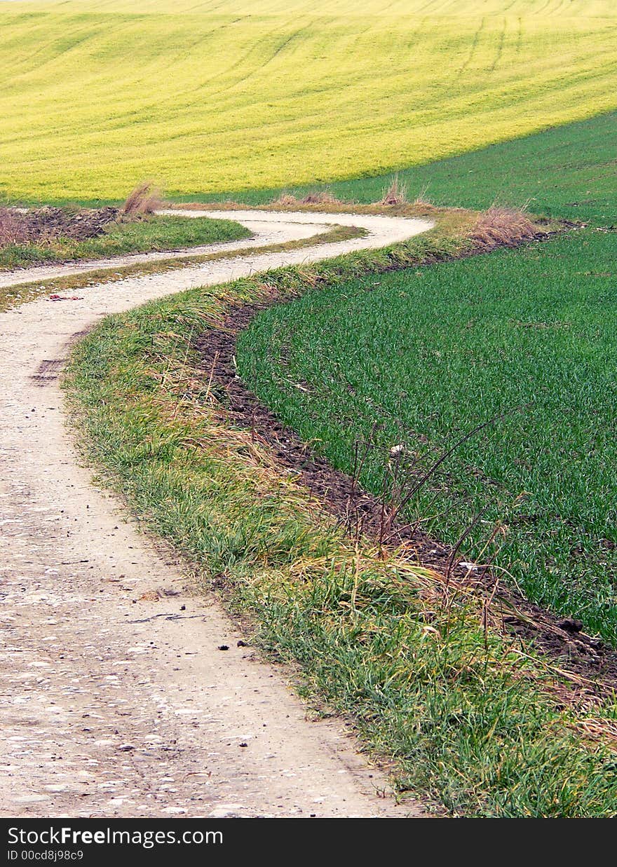 A path through colored fields in germany near Munich. A path through colored fields in germany near Munich