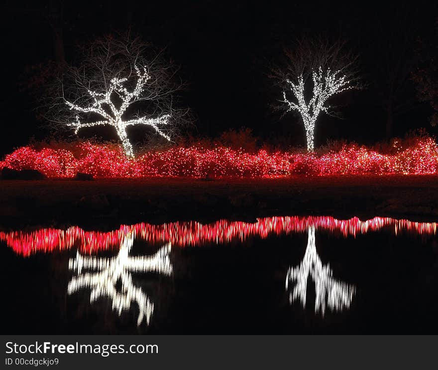 Lakeside Trees And Bushes Covered In Lights