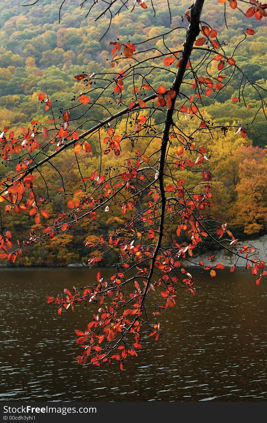 Fall Foliage on Trees at Bear Mountain. Fall Foliage on Trees at Bear Mountain