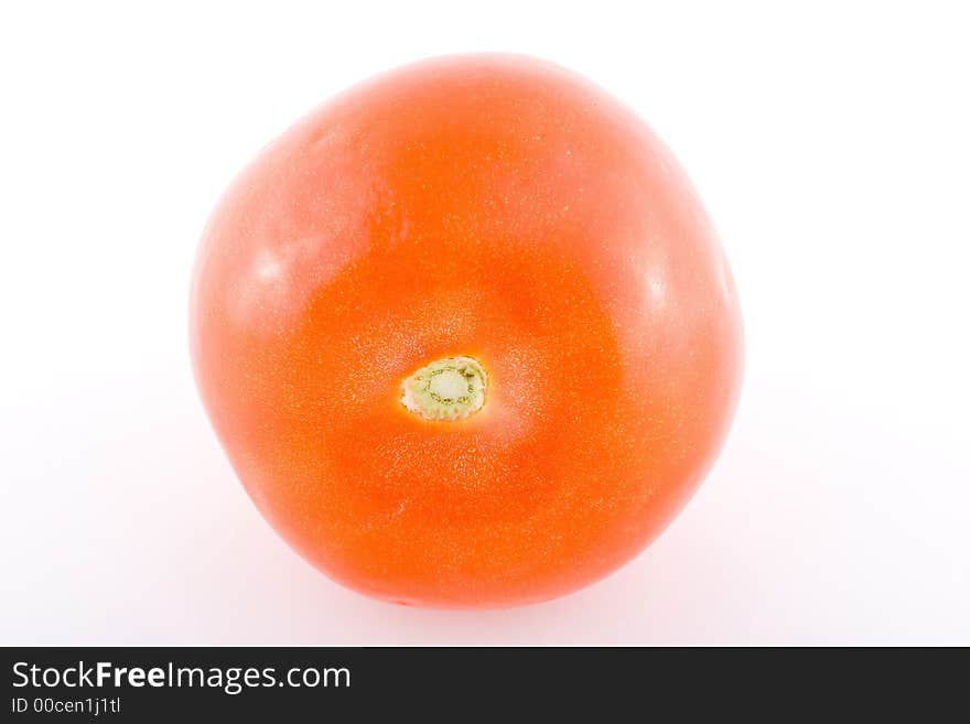 Shoot of tomato on a white background.