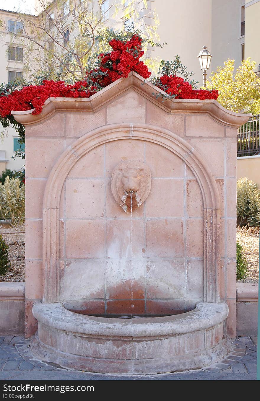 A water fountain in the shape of a lion