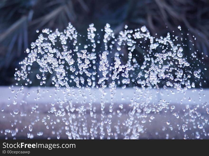 Water splashes in front of some vegetation