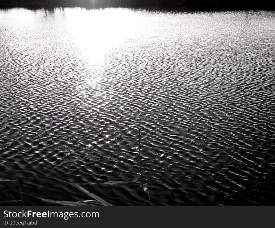 Ripples on a pond during a windy day. Ripples on a pond during a windy day.