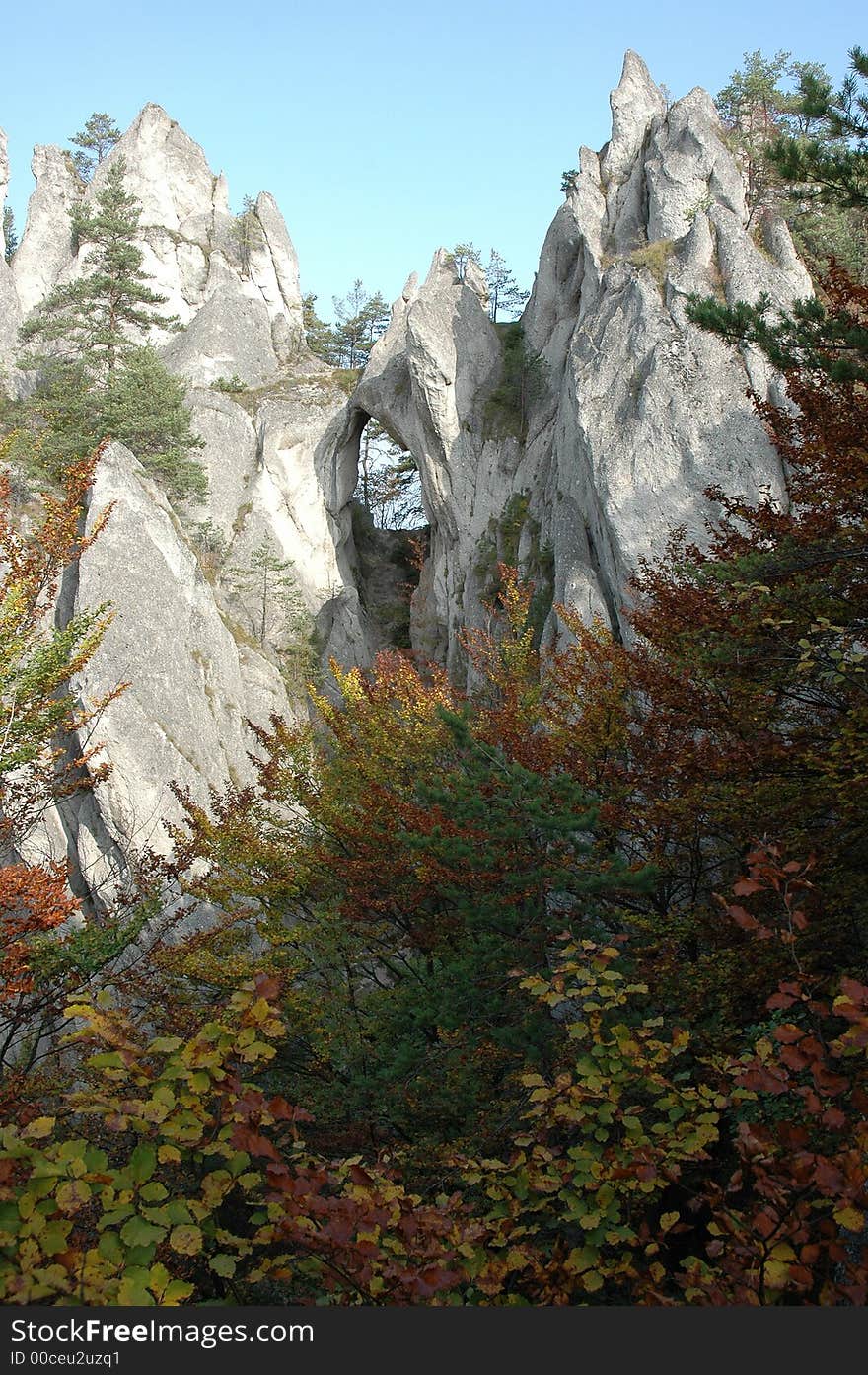 Autumn Hill, Goticka brana