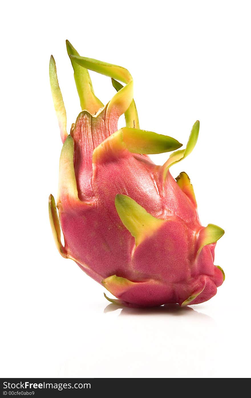 Pitahaya Red  Hylocereus Polyrhizus