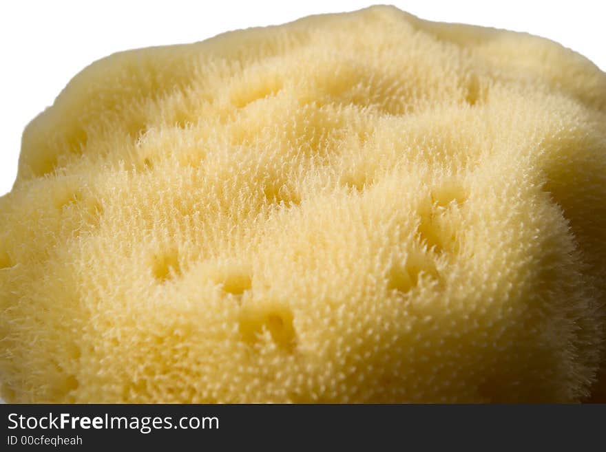 Natural sponge