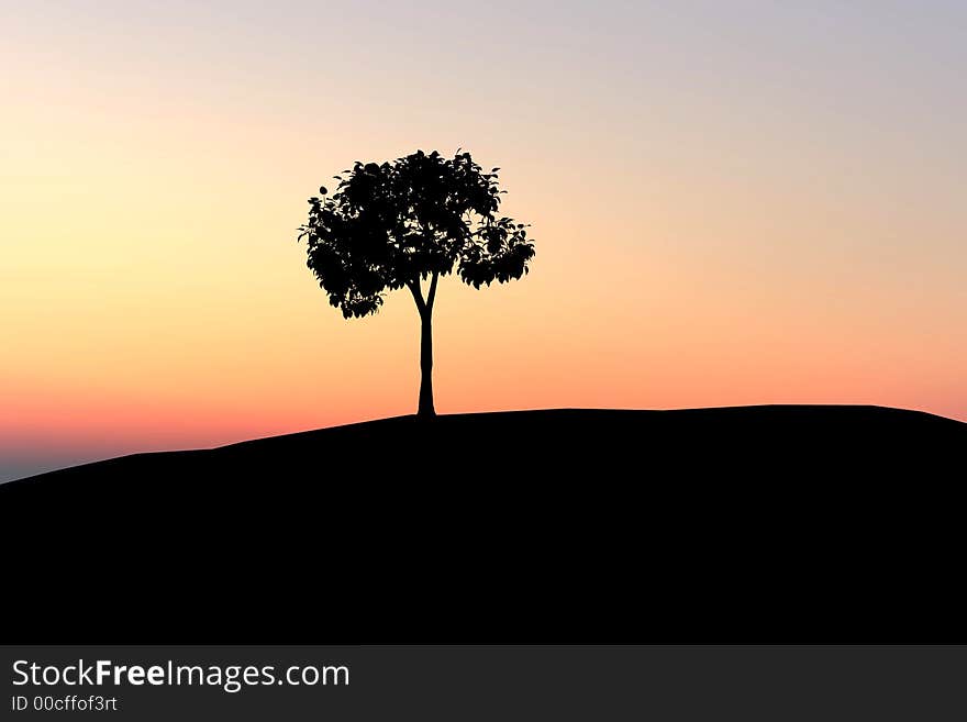 Lonely Tree On Sunset Background