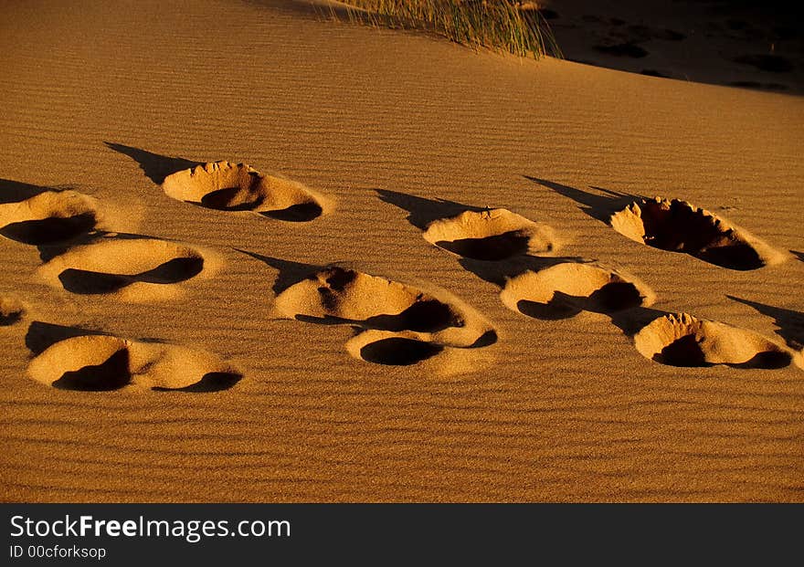 Footprints on the sand dune