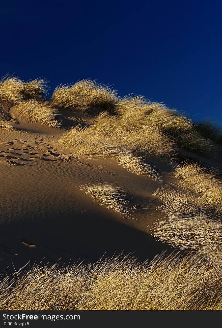 Sand dune , grass and dark blue sky