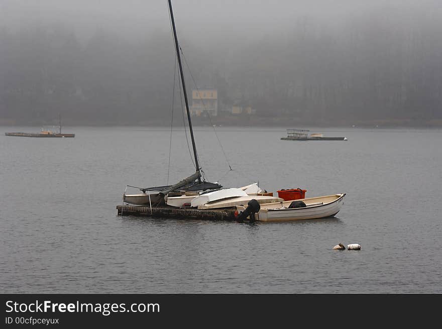 Fog at Cold Spring Harbor, NY