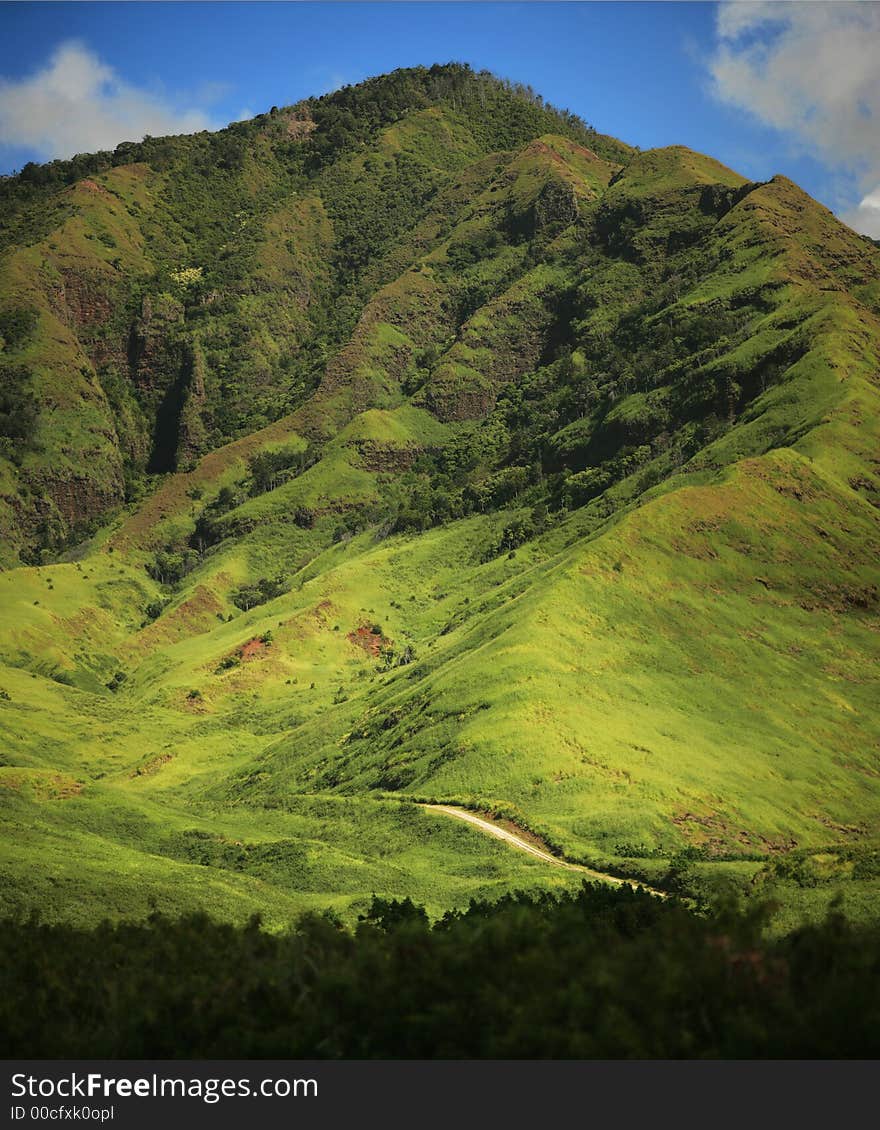 Hawaiian Green Mountain