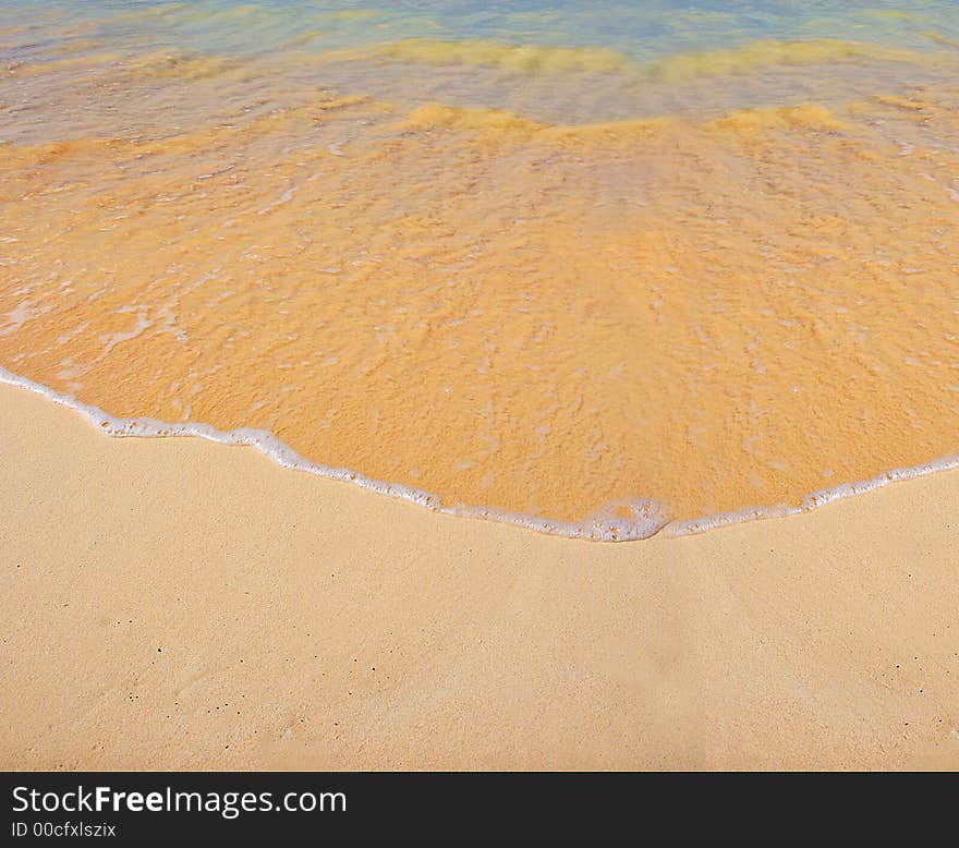 A photo of a tropical beach (useful as background)