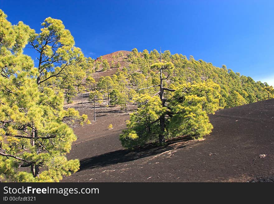 Teneriffe Spain - canary island - Volcano Teide. Teneriffe Spain - canary island - Volcano Teide