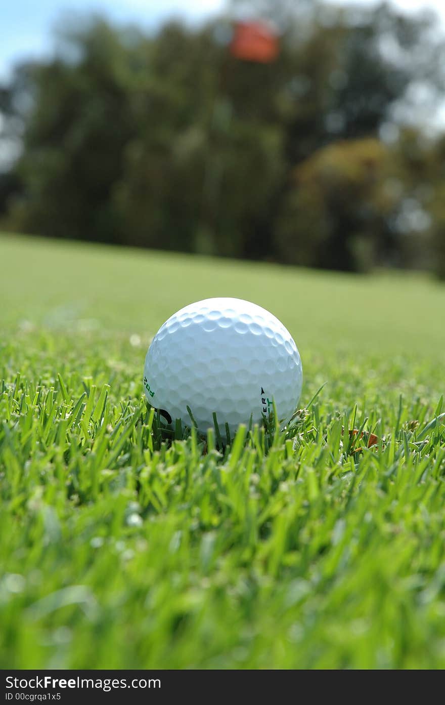 Golf ball ready to chip on the green. Golf ball ready to chip on the green