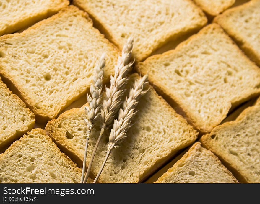 Bread is one of the basic kinds of food in Europen countries. Bread is one of the basic kinds of food in Europen countries.