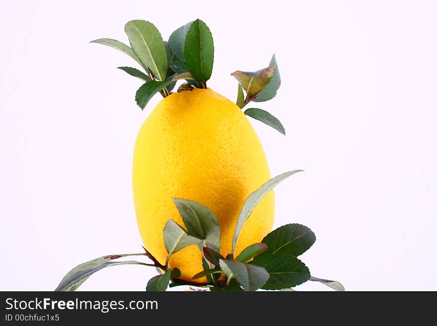 Lemons composition on pure white background