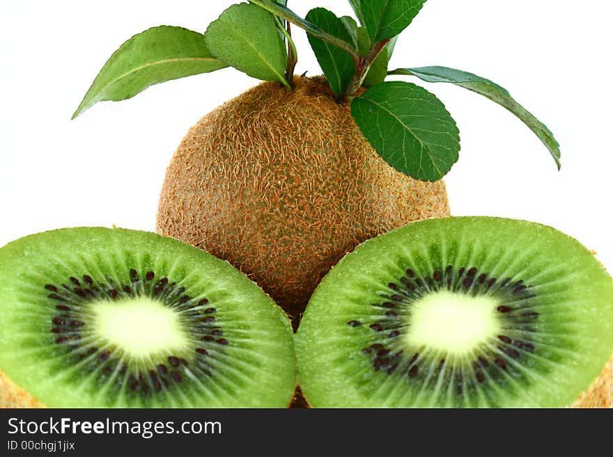 Kiwi